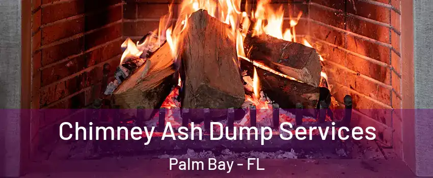 Chimney Ash Dump Services Palm Bay - FL